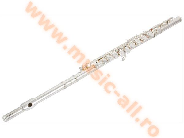 Flaut Startone SFL 55