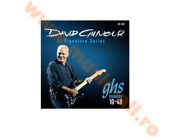 GHS David Gilmour String Set F