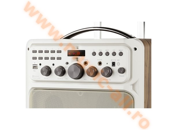 KRUGER&MATZ KM0531 Sistem audio portabil KARAOKE