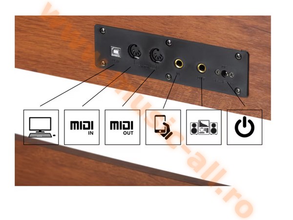 Pian digital McGrey DP-18 WN nuc mat, Clape grele, Hammer