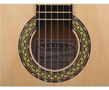 Classic Cantabile Acoustic Series AS-851 1/4