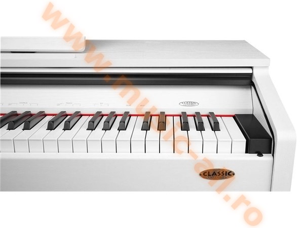 Classic Cantabile DP-210 E-Piano WM