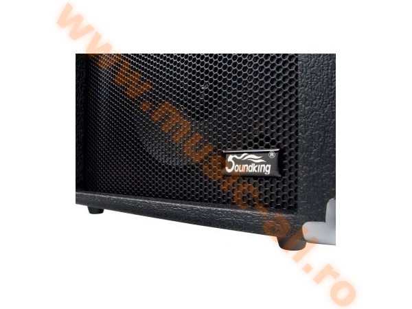 Soundking AK20-G Guitar Amplifier - 2-channel, 60 Watt