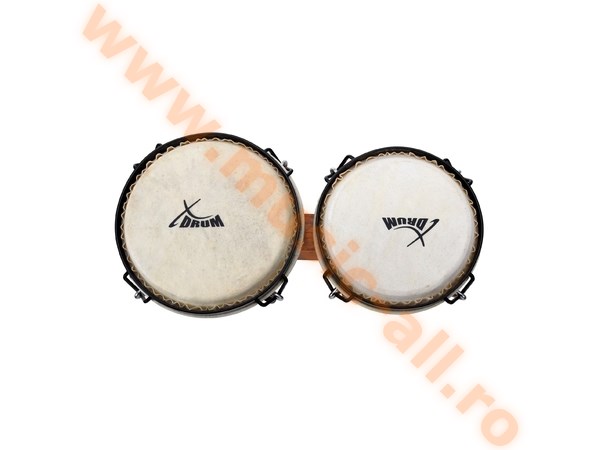 XDrum Bongo Club Standard Tobacco