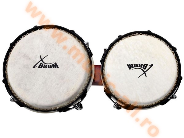 XDrum Bongo Pro Wine Red